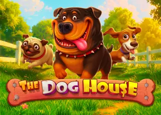 เว็บตรง p6th.site The Dog House ทดลองเล่นฟรี